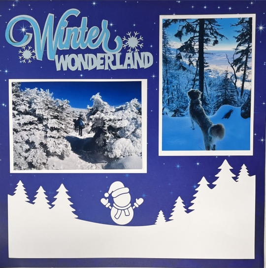 Winter Wonderland: EZ Laser Designs